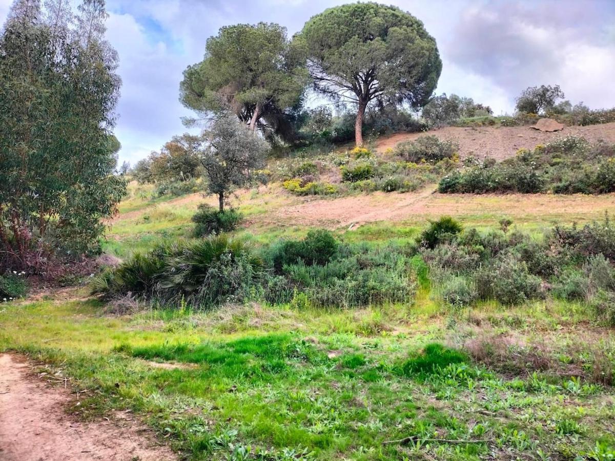 Finca Riodiel Gibraleon Exterior photo